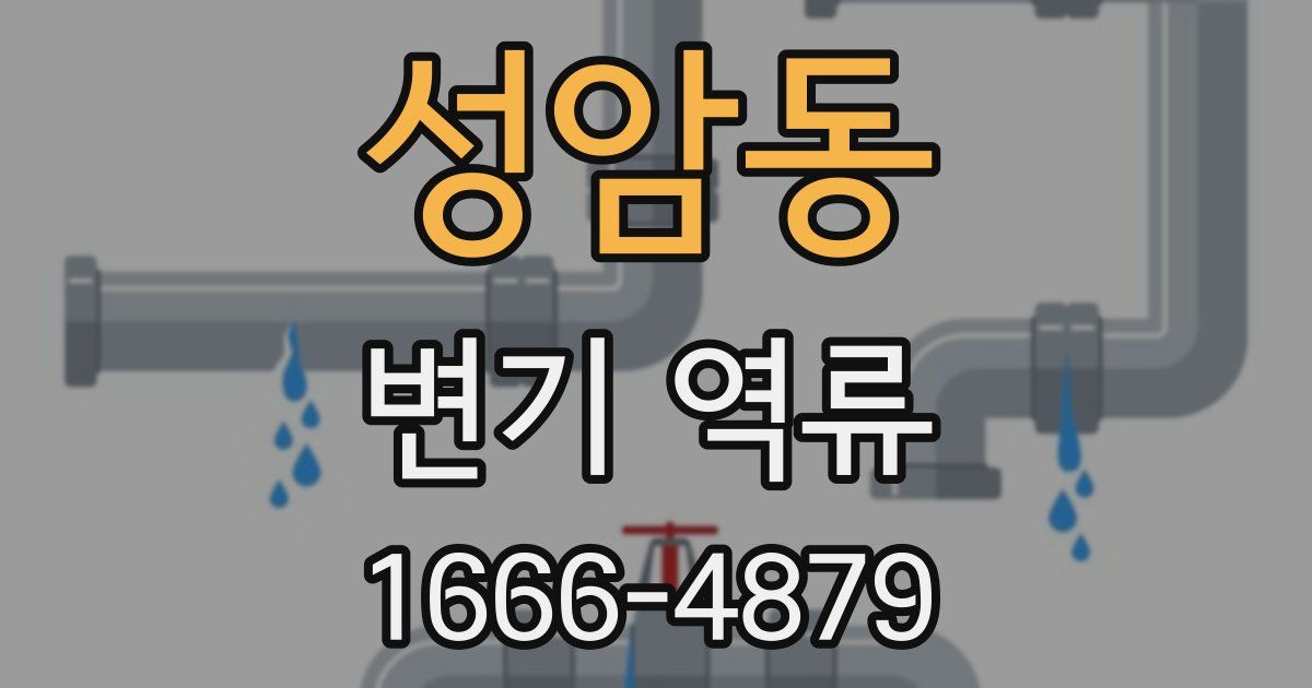 성암동 변기 역류