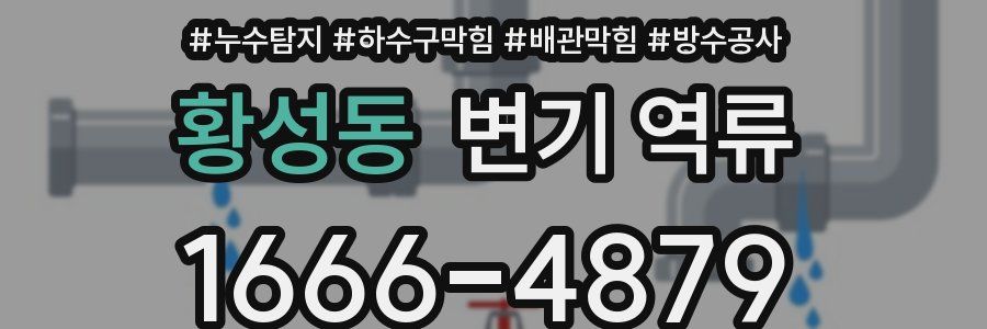 황성동 변기 역류