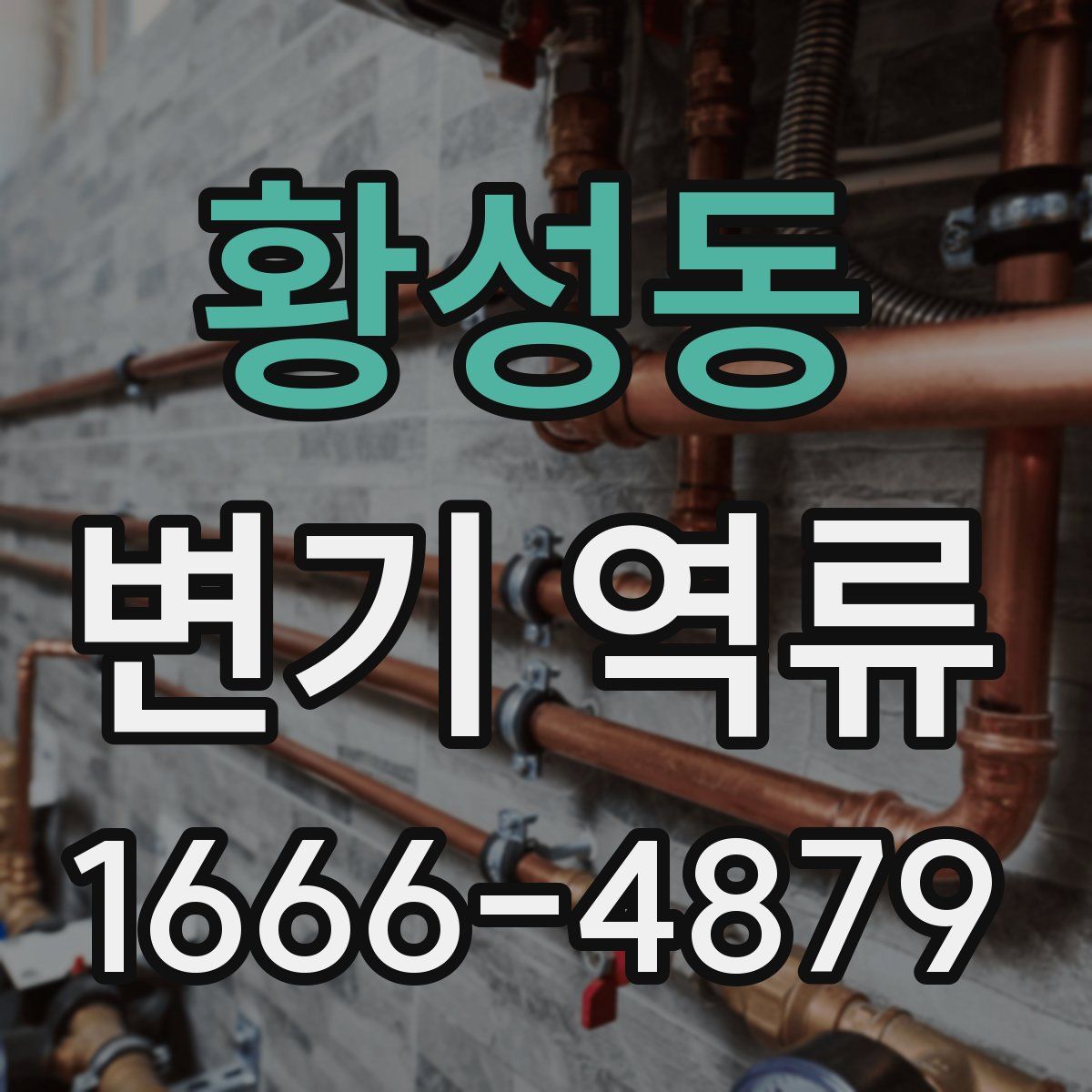 황성동 변기 역류