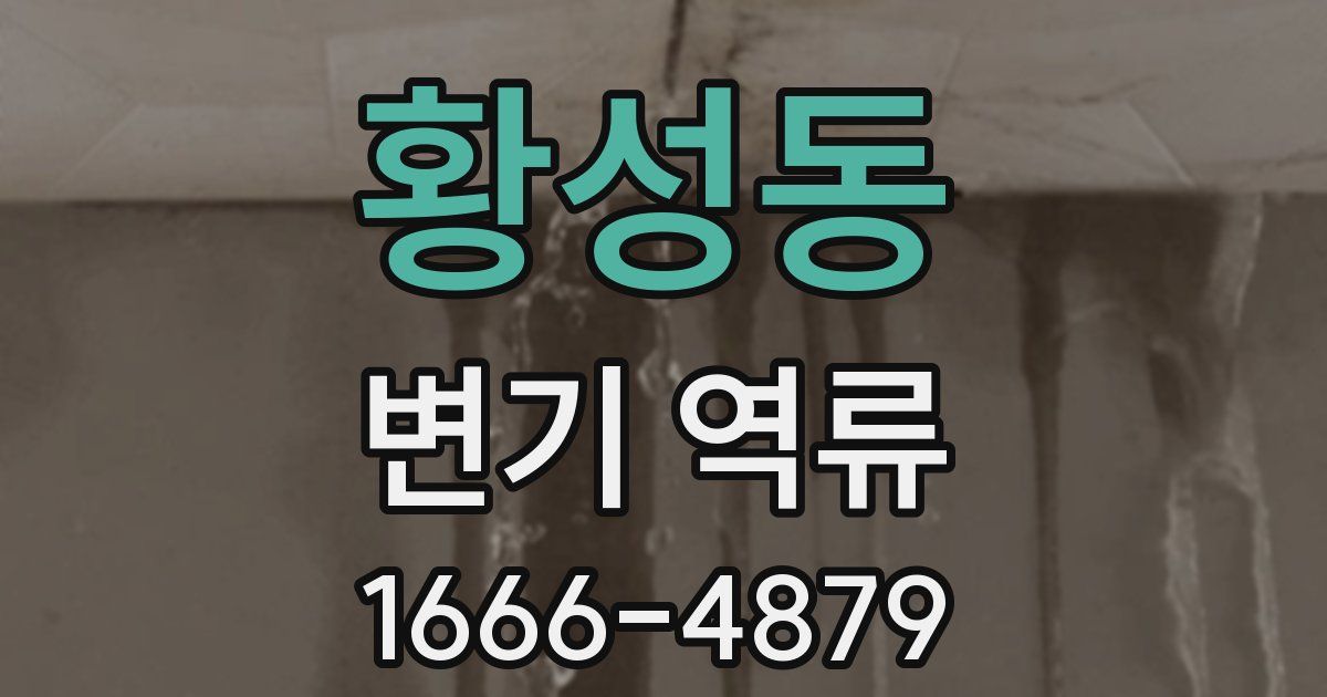 황성동 변기 역류