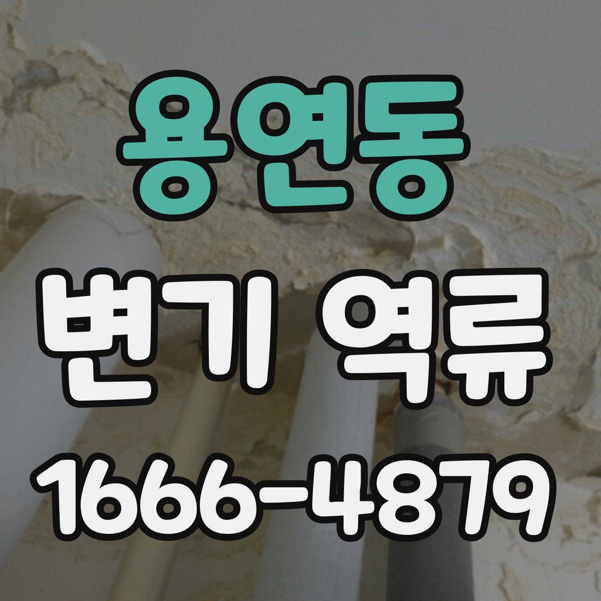 용연동 변기 역류