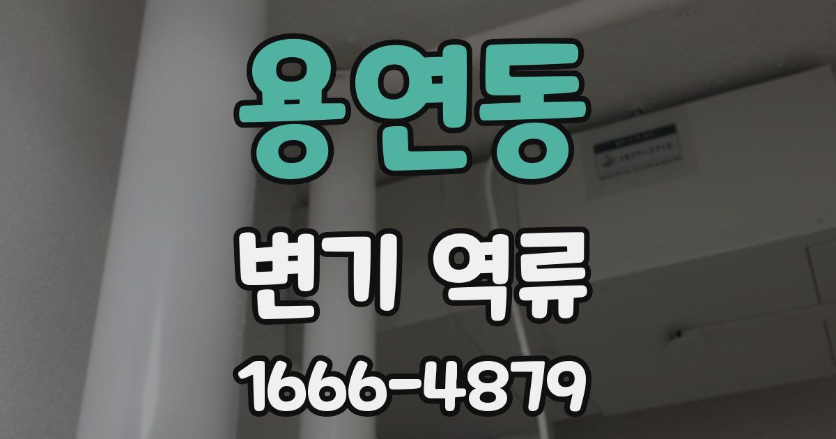 용연동 변기 역류