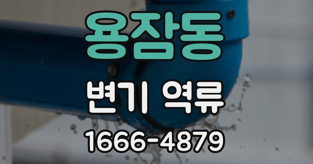 용잠동 변기 역류