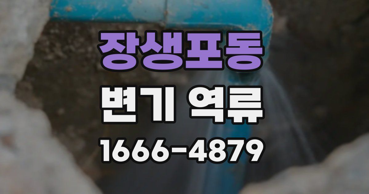 장생포동 변기 역류