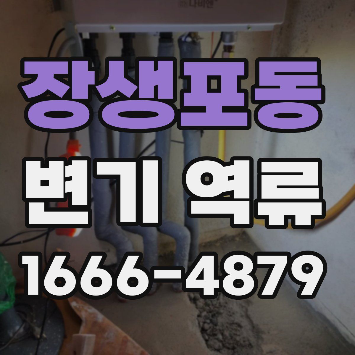 장생포동 변기 역류