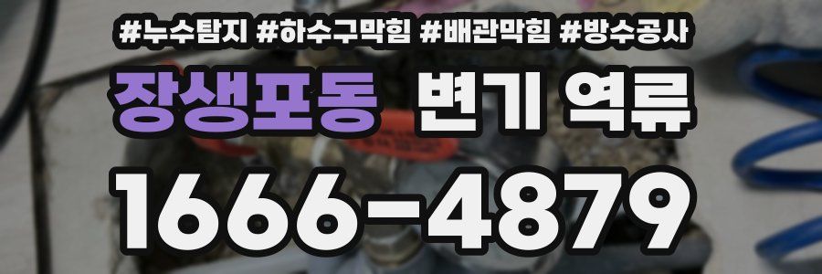 장생포동 변기 역류