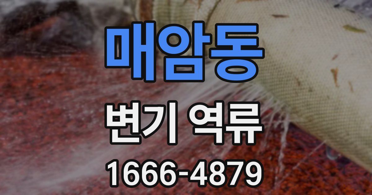 매암동 변기 역류