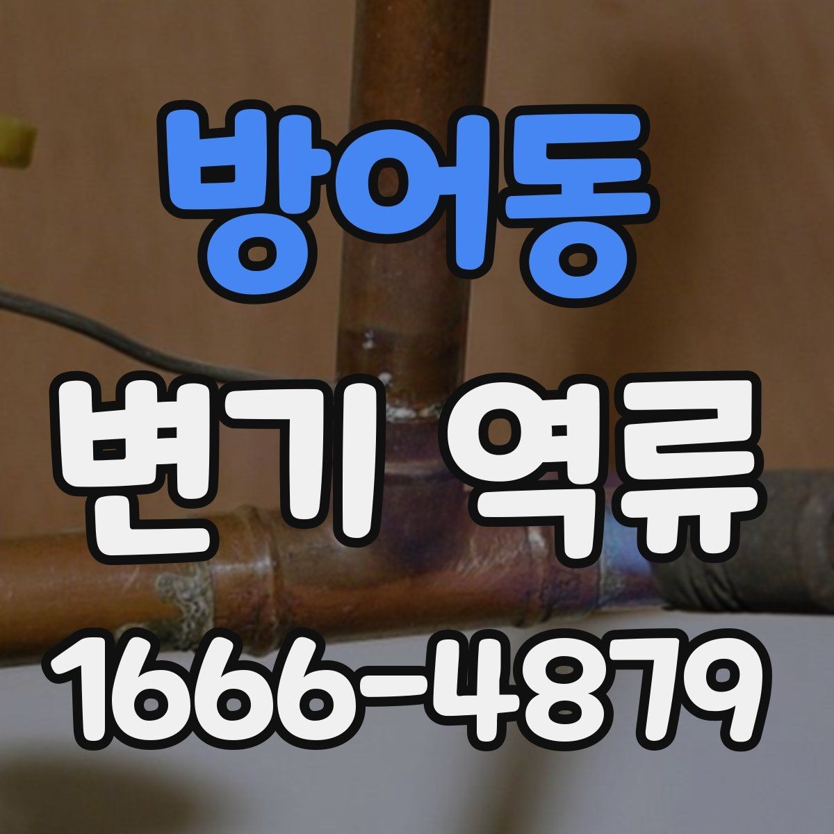 방어동 변기 역류 원인을 집에서 확인하는 방법