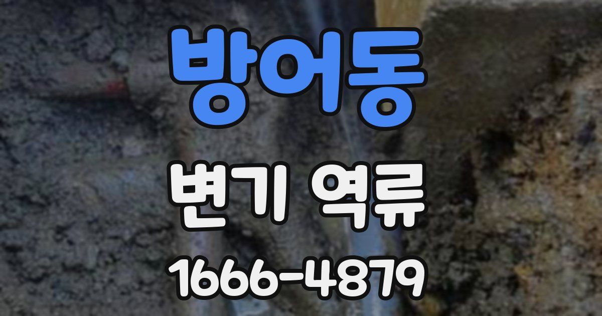 방어동 변기 역류
