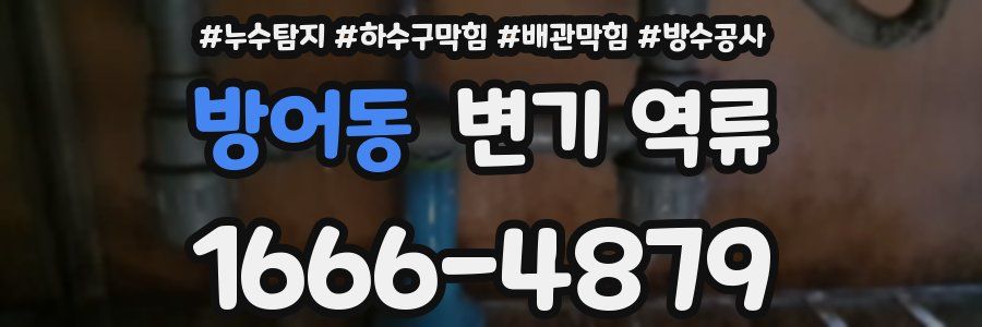 방어동 변기 역류