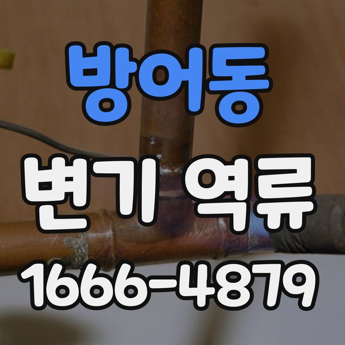 방어동 변기 역류