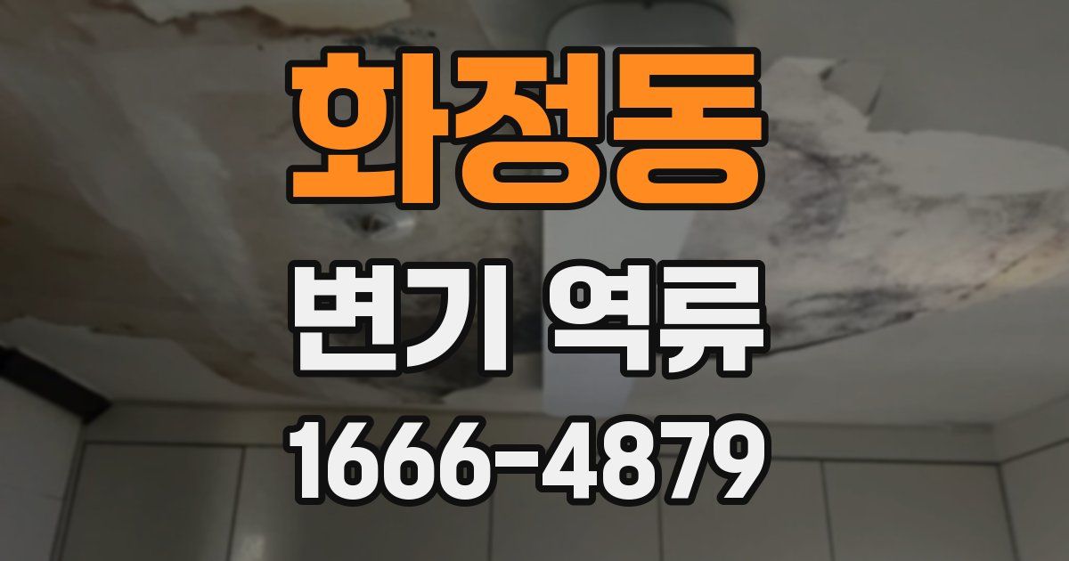 화정동 변기 역류