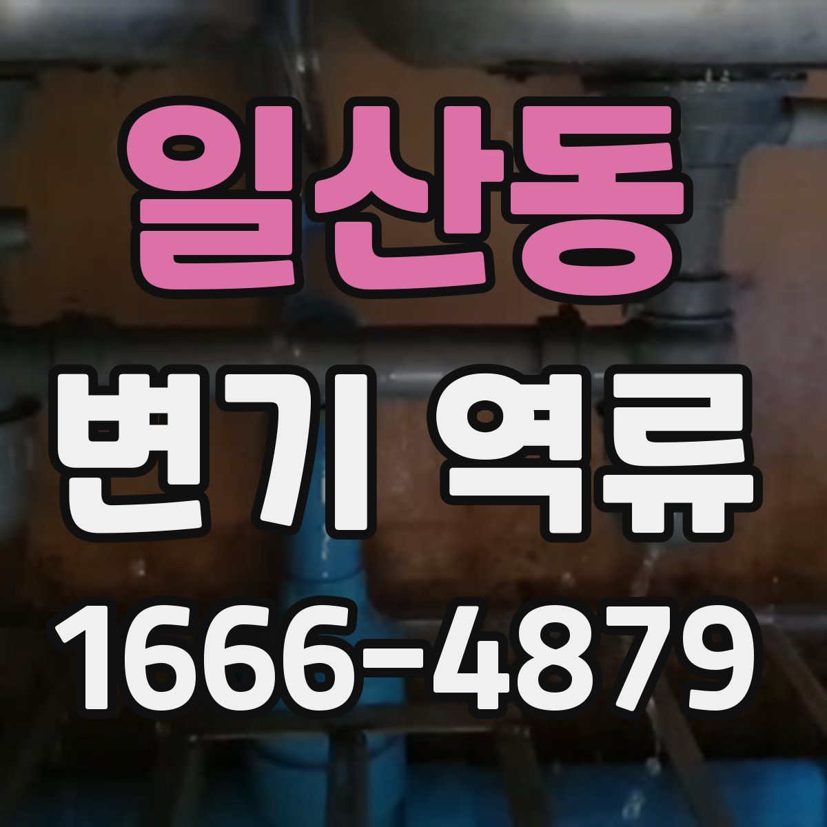 일산동 변기 역류