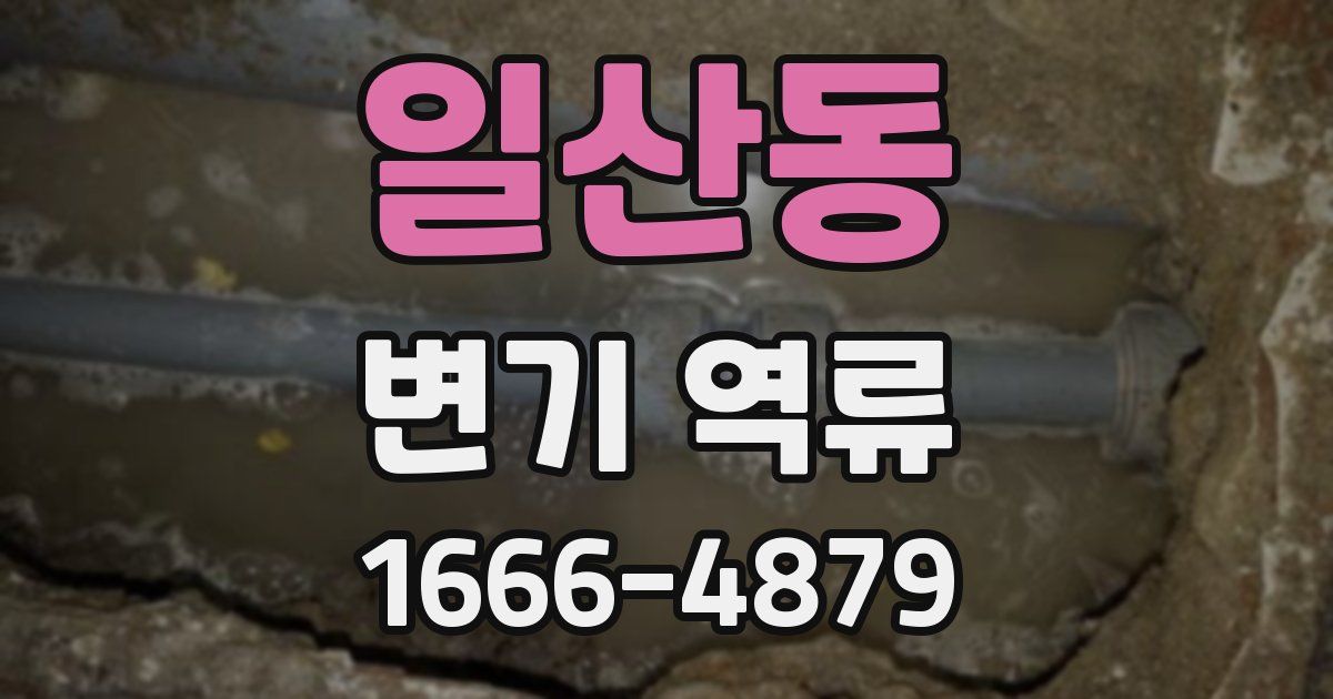 일산동 변기 역류