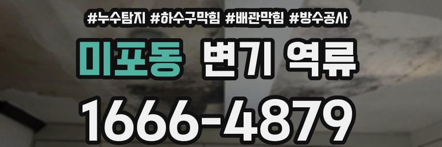 미포동 변기 역류