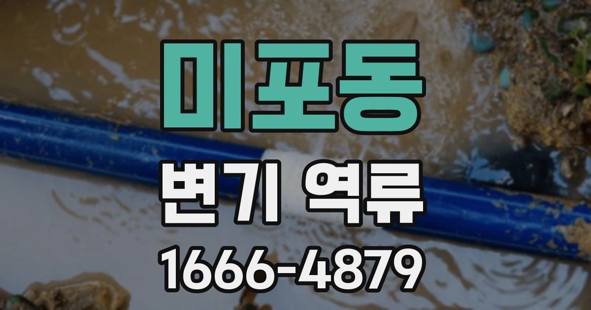 미포동 변기 역류