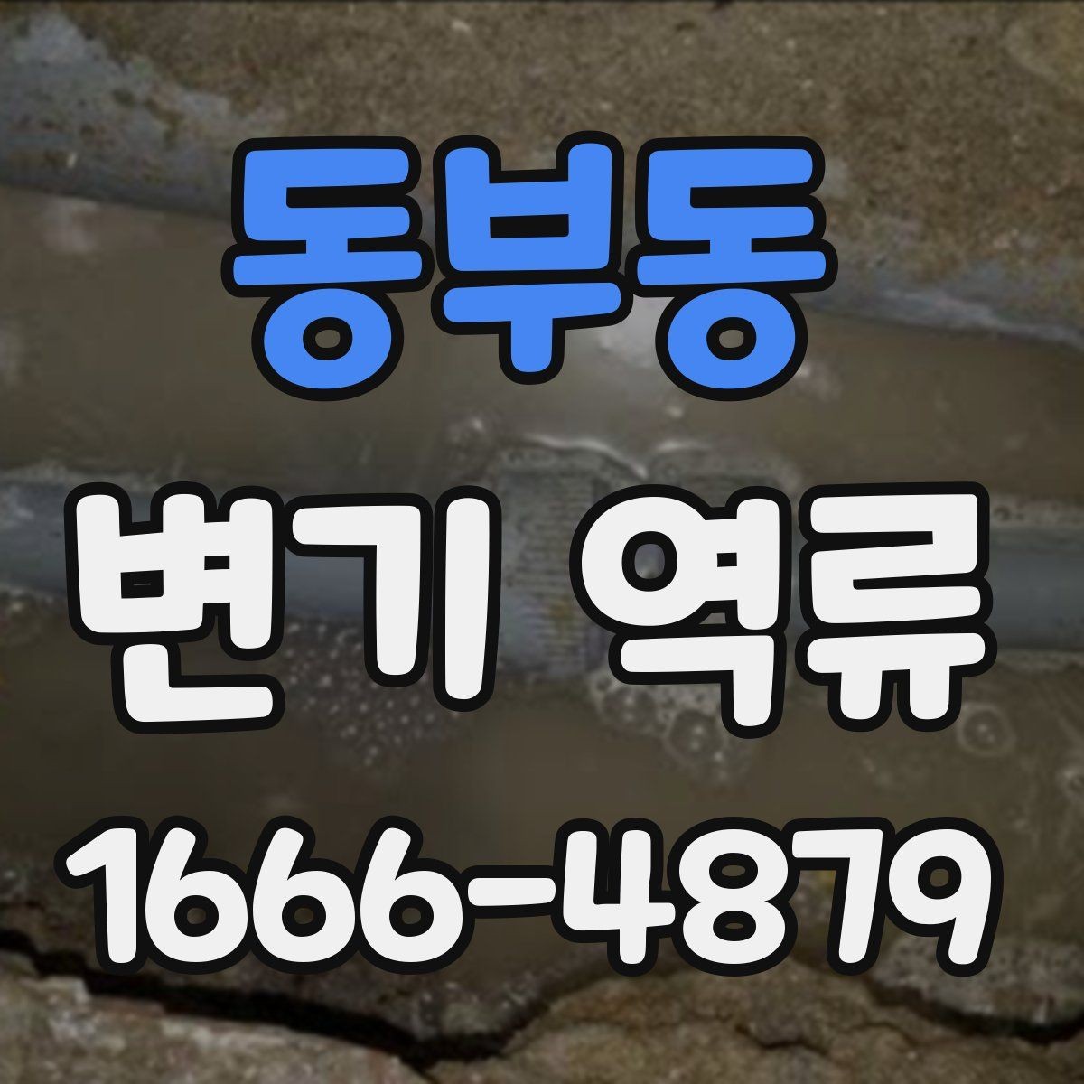 동부동 변기 역류 임시 조치와 근본 해결의 차이
