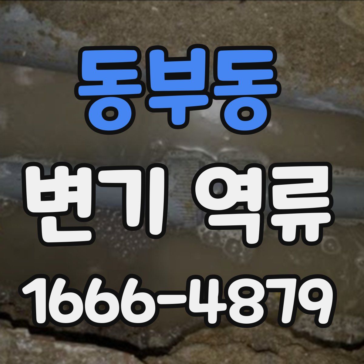 동부동 변기 역류
