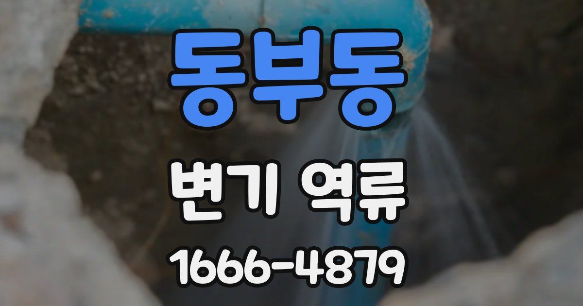 동부동 변기 역류