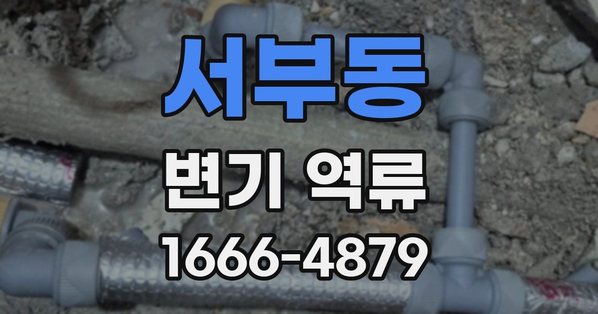 서부동 변기 역류