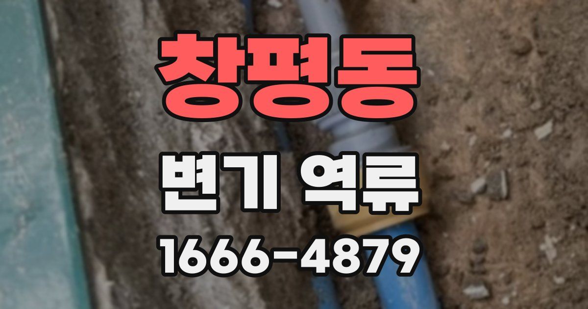 창평동 변기 역류
