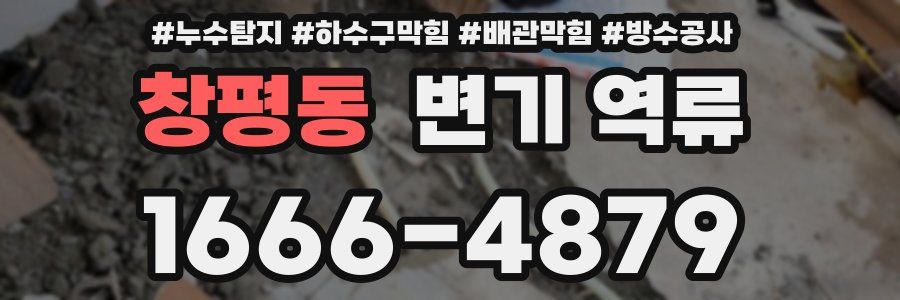 창평동 변기 역류