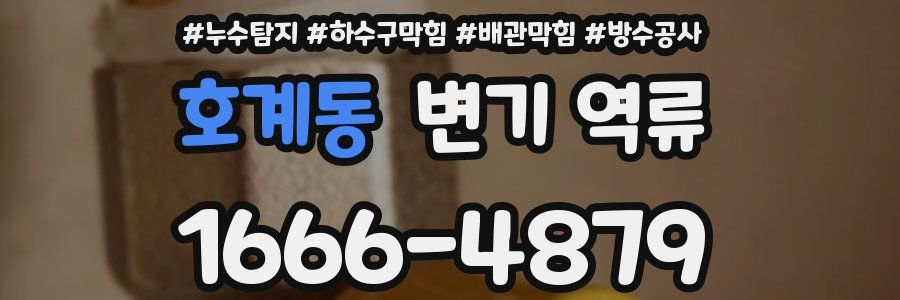 호계동 변기 역류