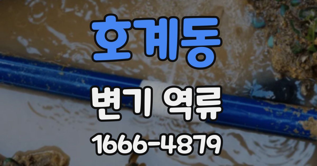 호계동 변기 역류