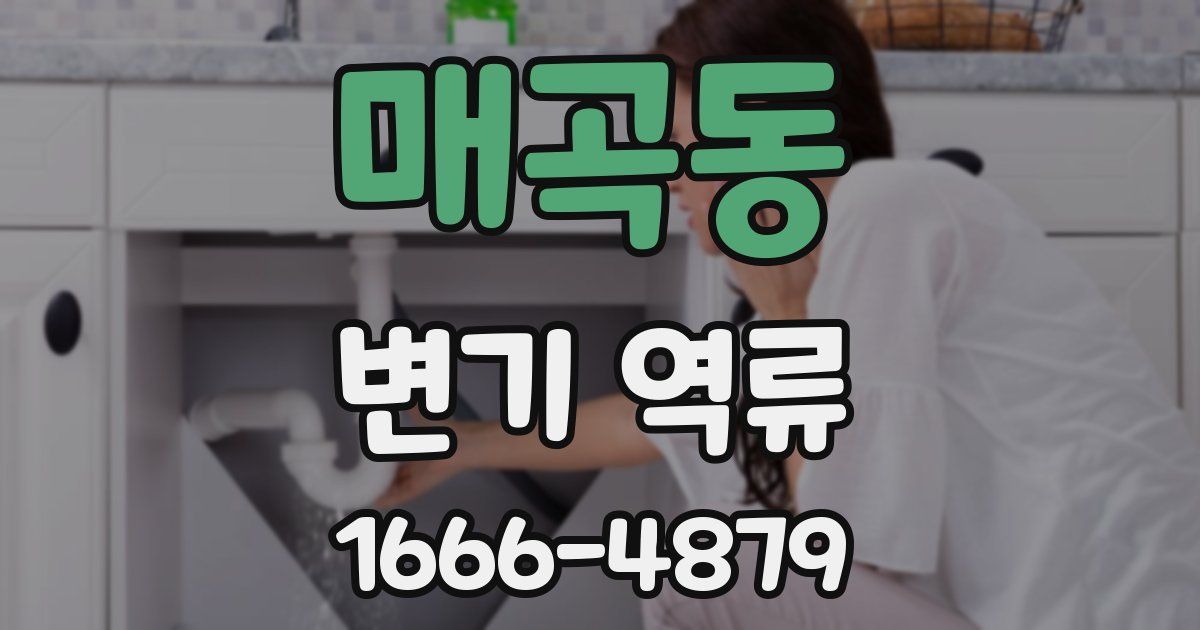 매곡동 변기 역류