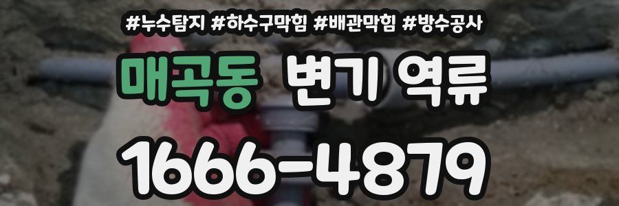 매곡동 변기 역류