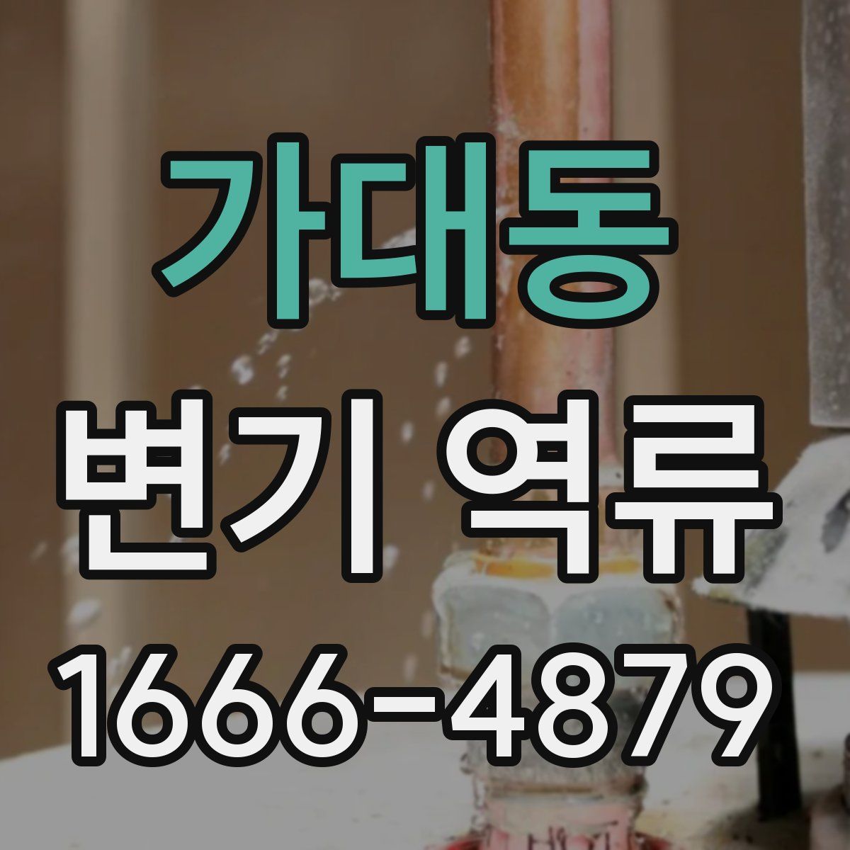 가대동 변기 역류