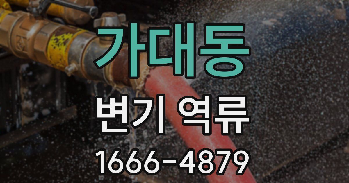가대동 변기 역류