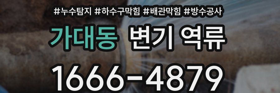 가대동 변기 역류
