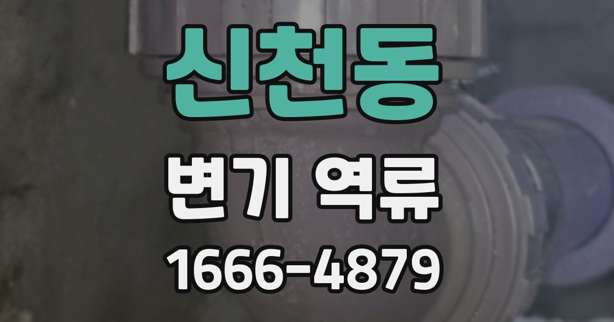 신천동 변기 역류