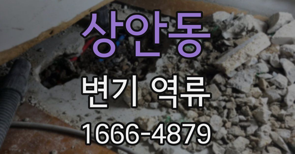상안동 변기 역류
