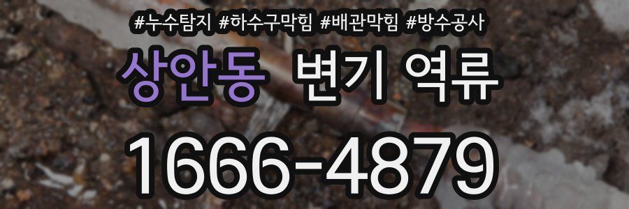 상안동 변기 역류