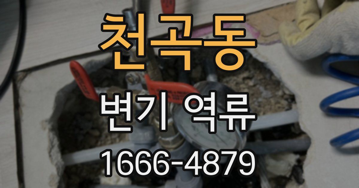 천곡동 변기 역류