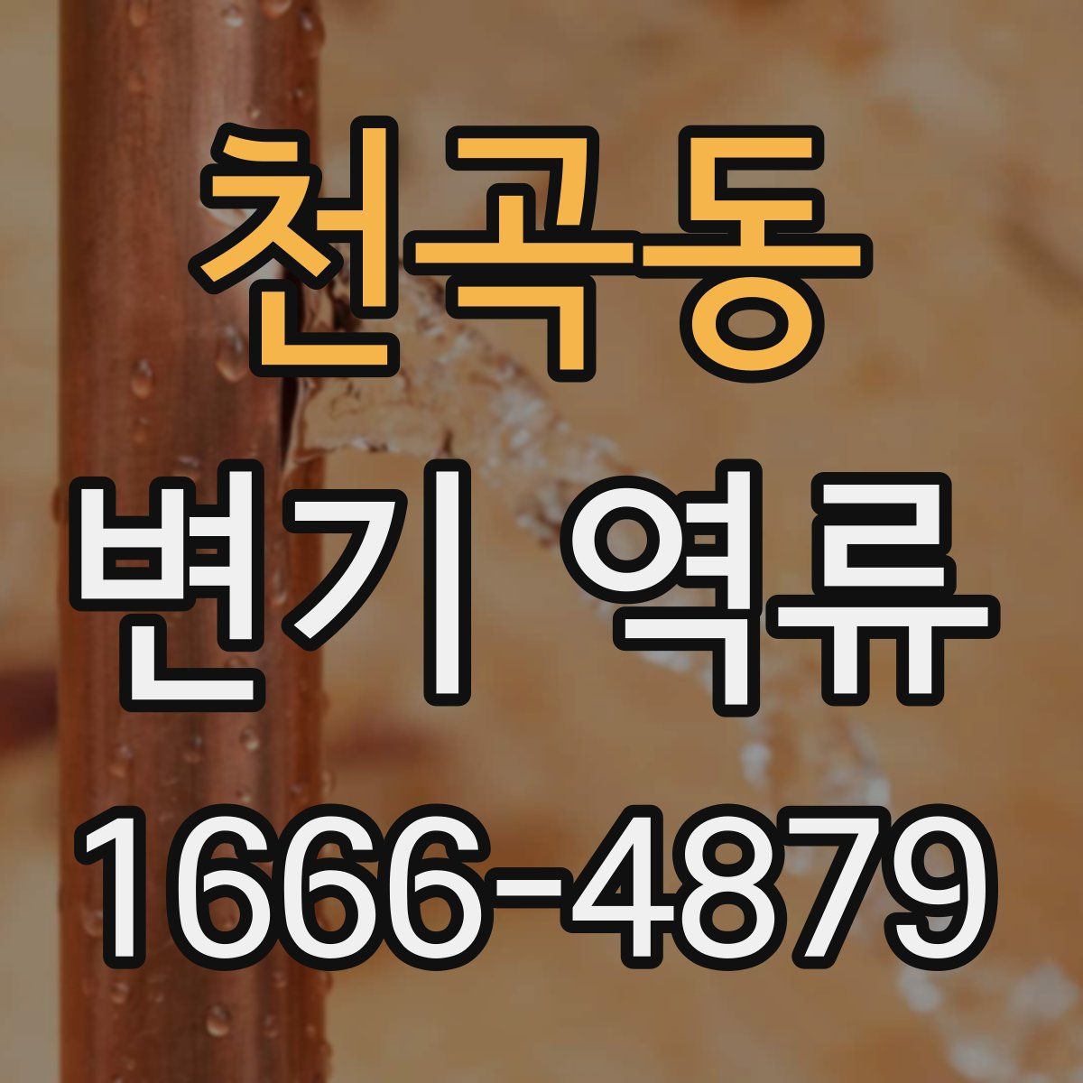 천곡동 변기 역류