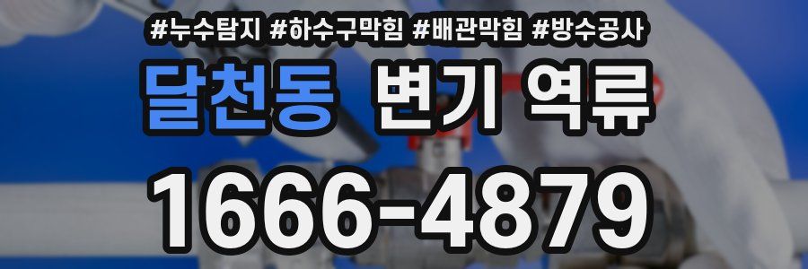 달천동 변기 역류