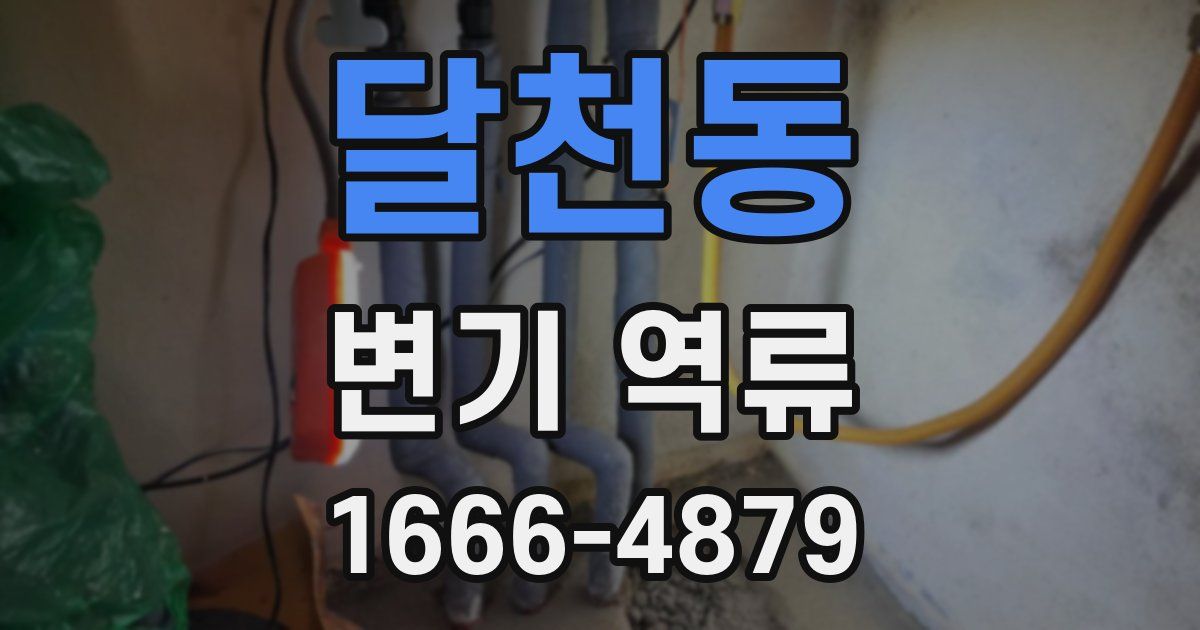 달천동 변기 역류