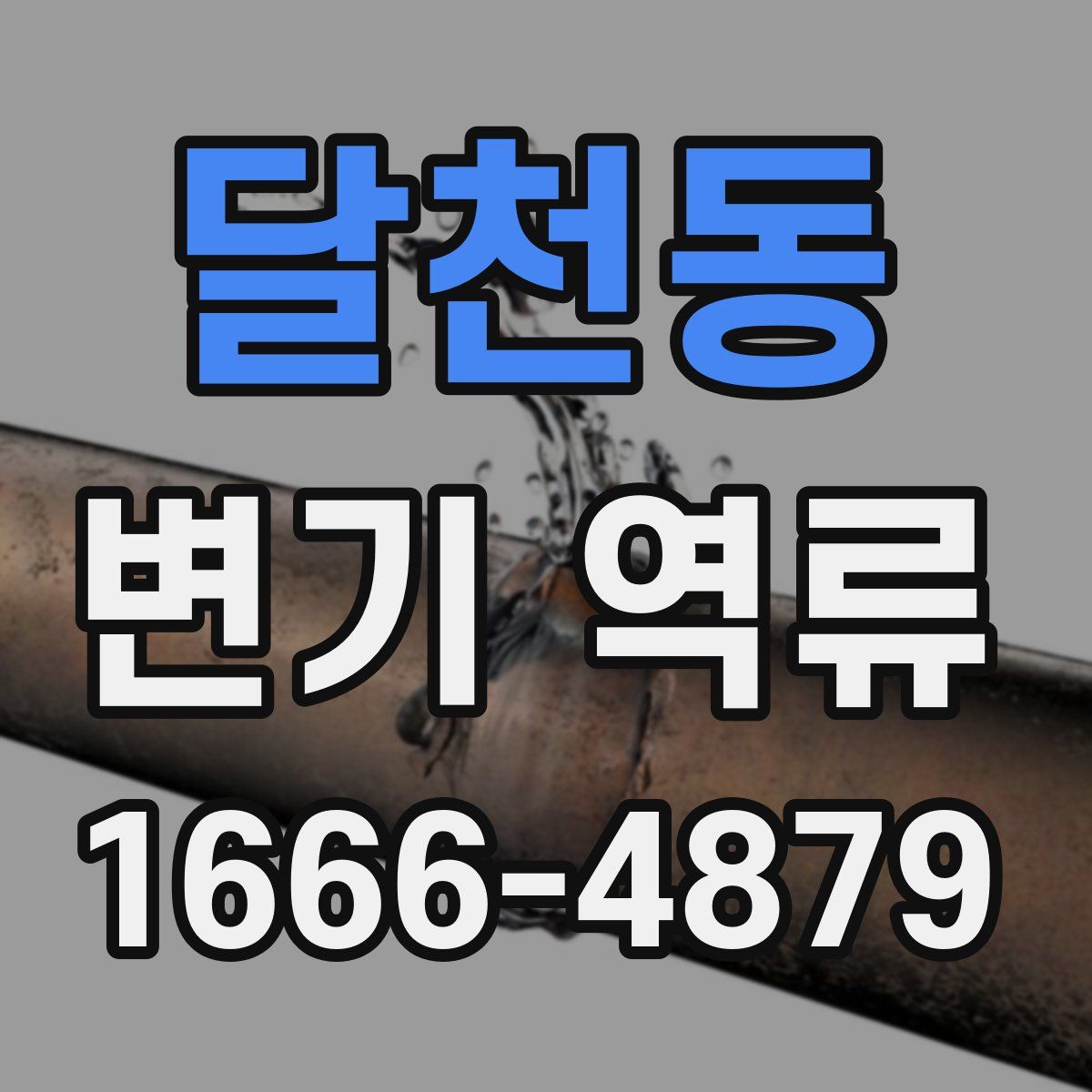달천동 변기 역류