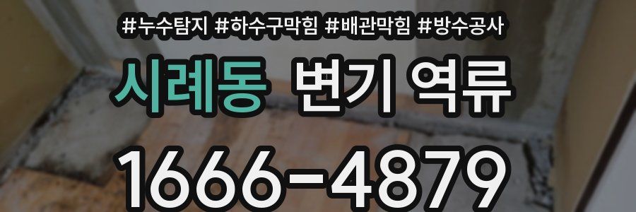 시례동 변기 역류