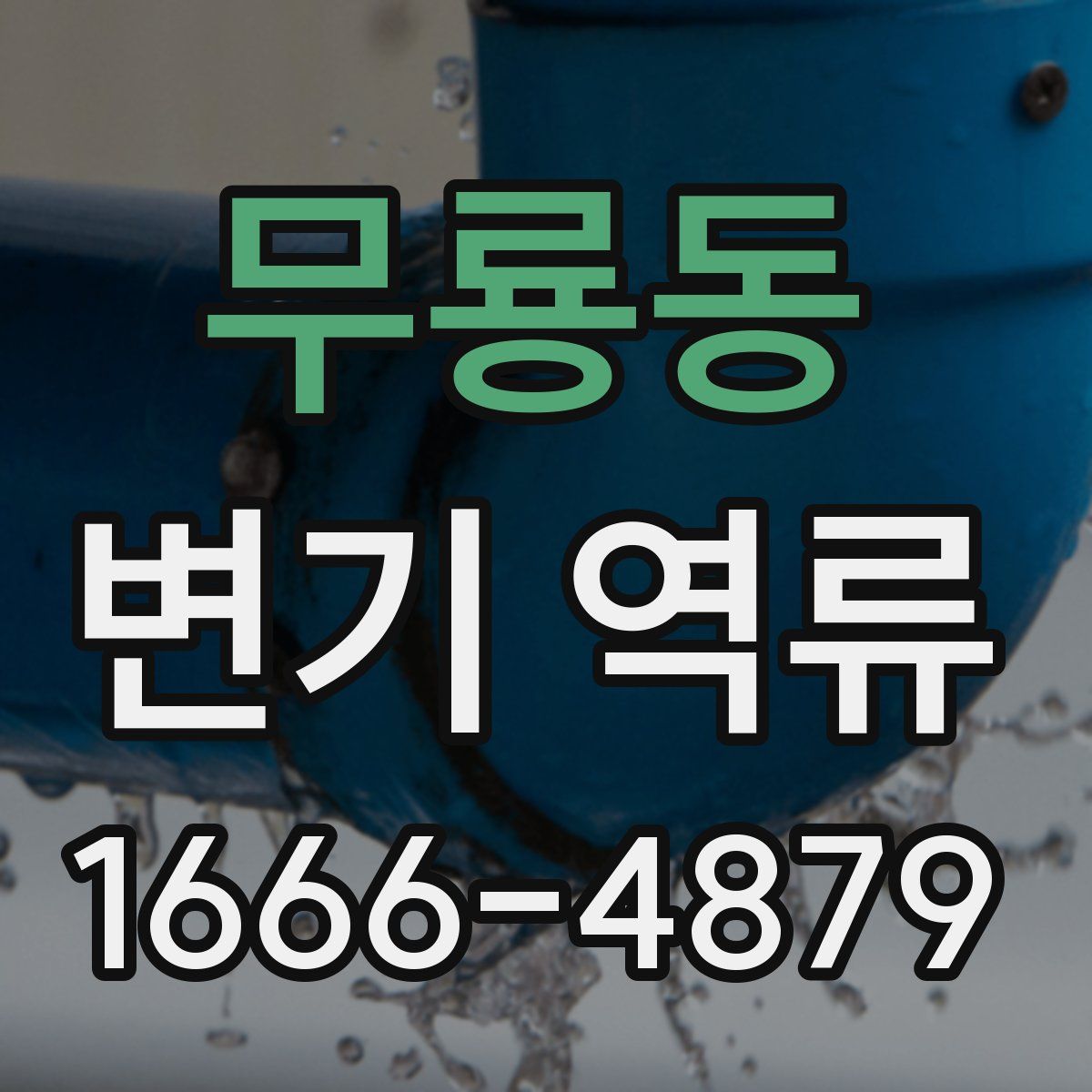 무룡동 변기 역류