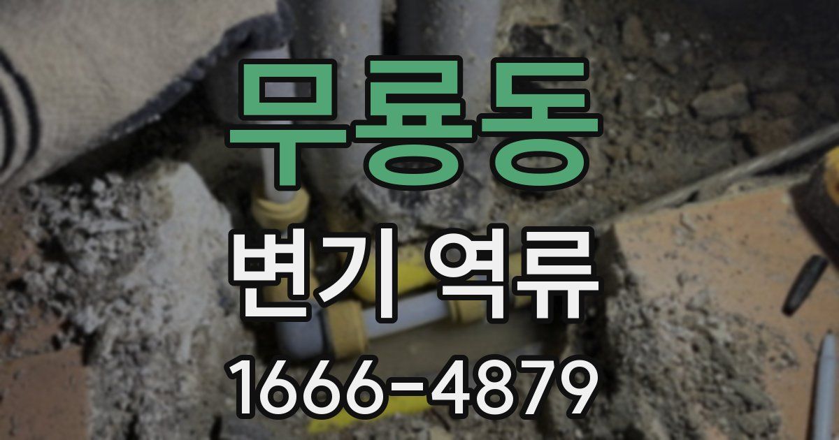 무룡동 변기 역류
