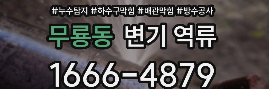 무룡동 변기 역류