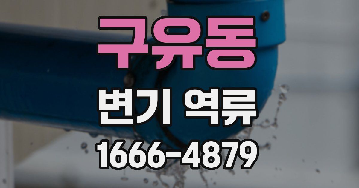 구유동 변기 역류