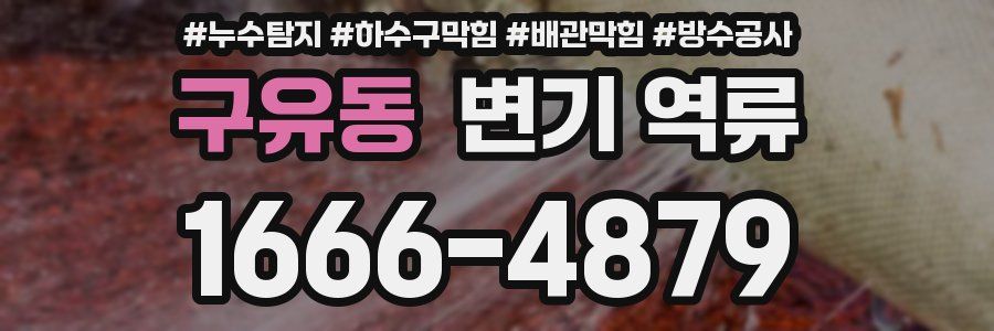 구유동 변기 역류
