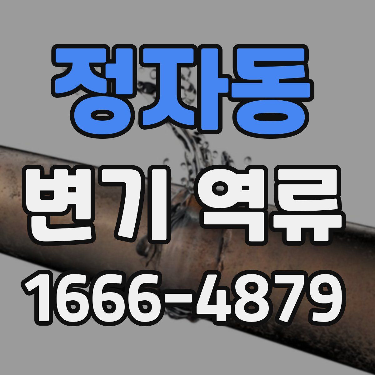 정자동 변기 역류