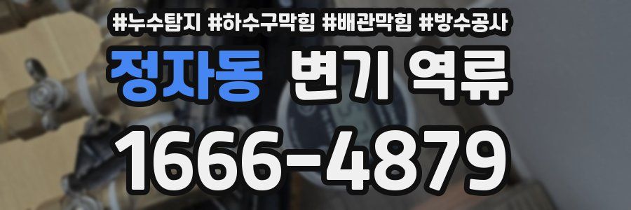 정자동 변기 역류