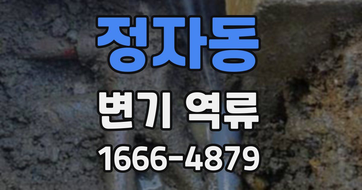 정자동 변기 역류